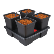 System hydroponiczny na 4 rośliny / donice 11L lub 18L WILMA Large 75x75xH21cm / 50L