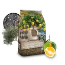 Biovita ziemia do cytrusów i roślin śródziemnomorskich 8l