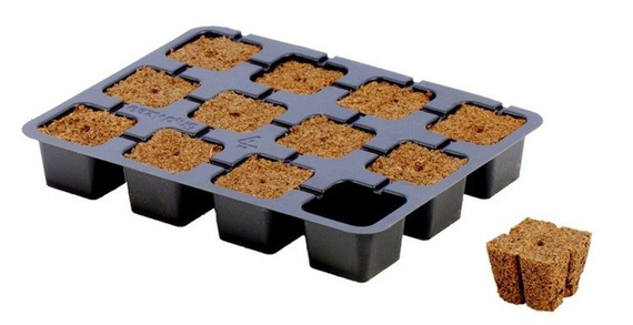 Eazy Plug Taca do wysiewu nasion 12 szt. + propagator