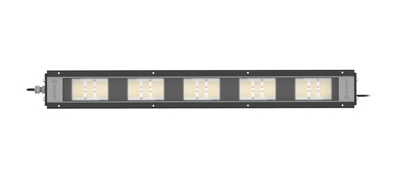Lampa LED Bilberry Grow High Power 600W
