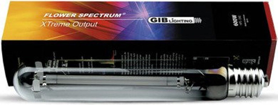 Lampa / żarówka GIB Flower Spectre Xtreme 600W - na kwitnienie