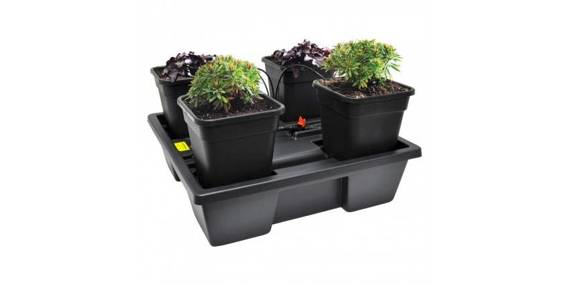 System hydroponiczny na 8 roślin / donice 11L Wilma Small Wide 120x60x20cm / 85L