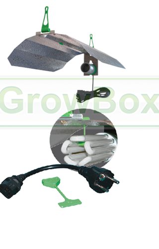 Zestaw CFL 250W Elektrox Kwitnienie